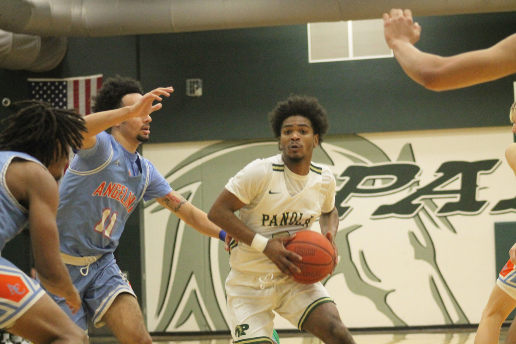 JUCO Basketball: Wilson And Greene Lead Panola College Ponies Over ...