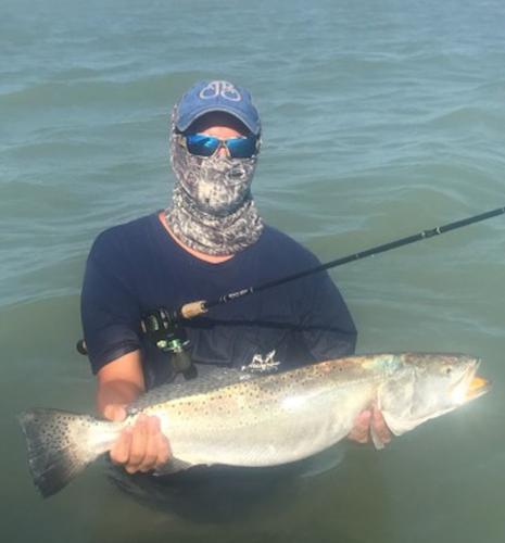 seatrout