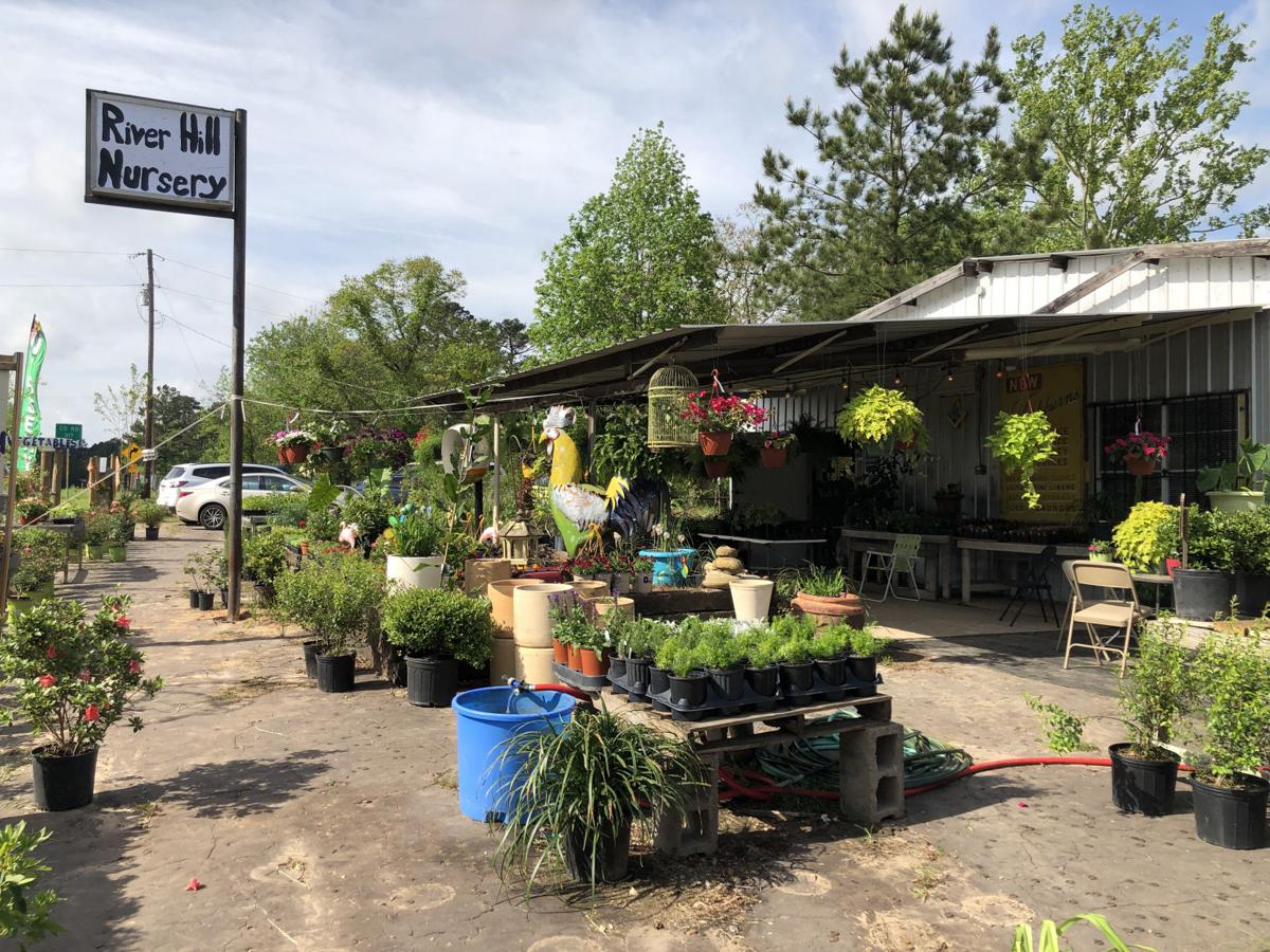 Panola County Chamber Of Commerce Welcomes River Hill Nursery With