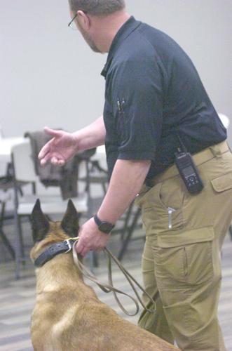 K-9 UNIT