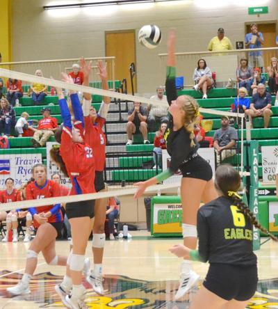 Eagles and Rams volleyball