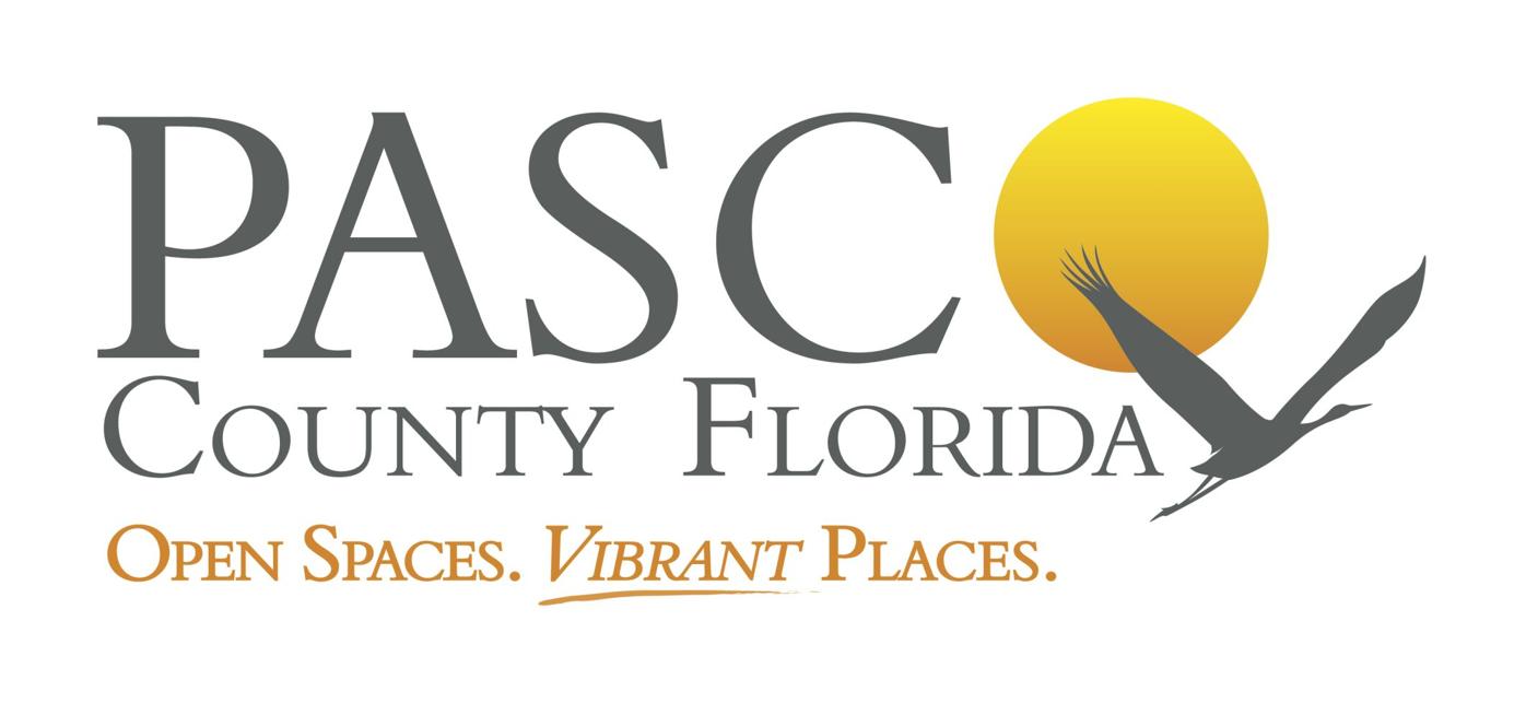 Pasco County Approves New Tax Break for Low-Income Seniors | News 