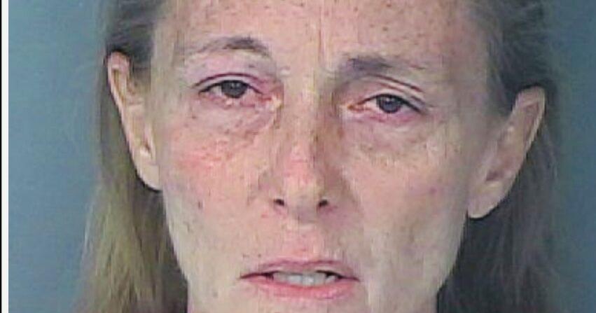Hudson Woman Arrested on DUI Manslaughter Charges After Fatal Crash ...