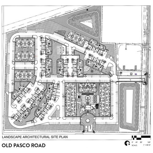 Dobbins Group developing 322Unit Community in Pasco County News