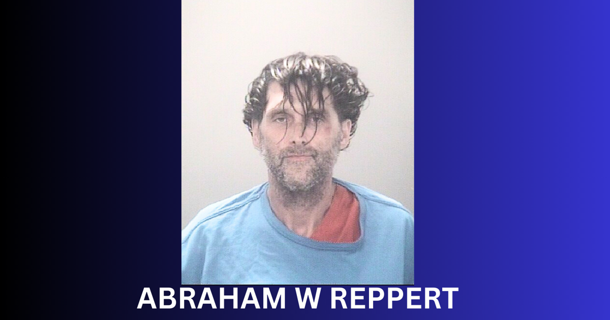 Assault News Image