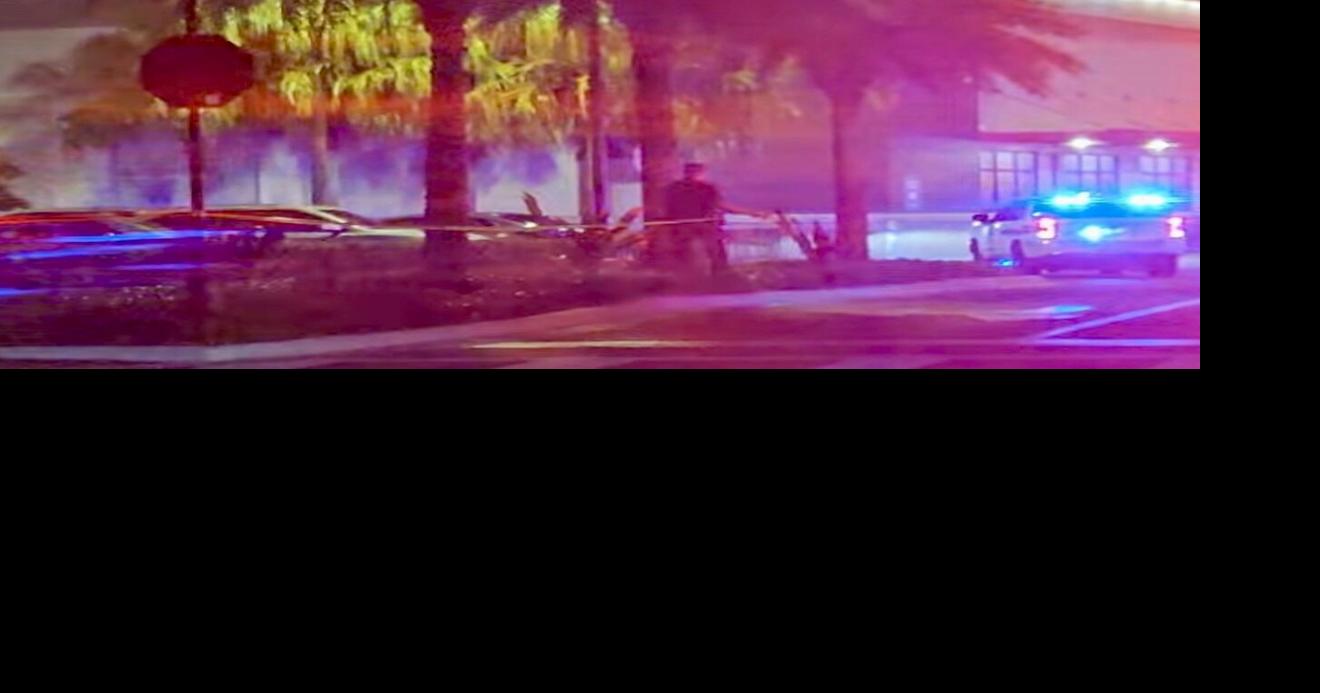Juvenile Arrested After Altercation Leads to Gunshot in Wesley Chapel ...