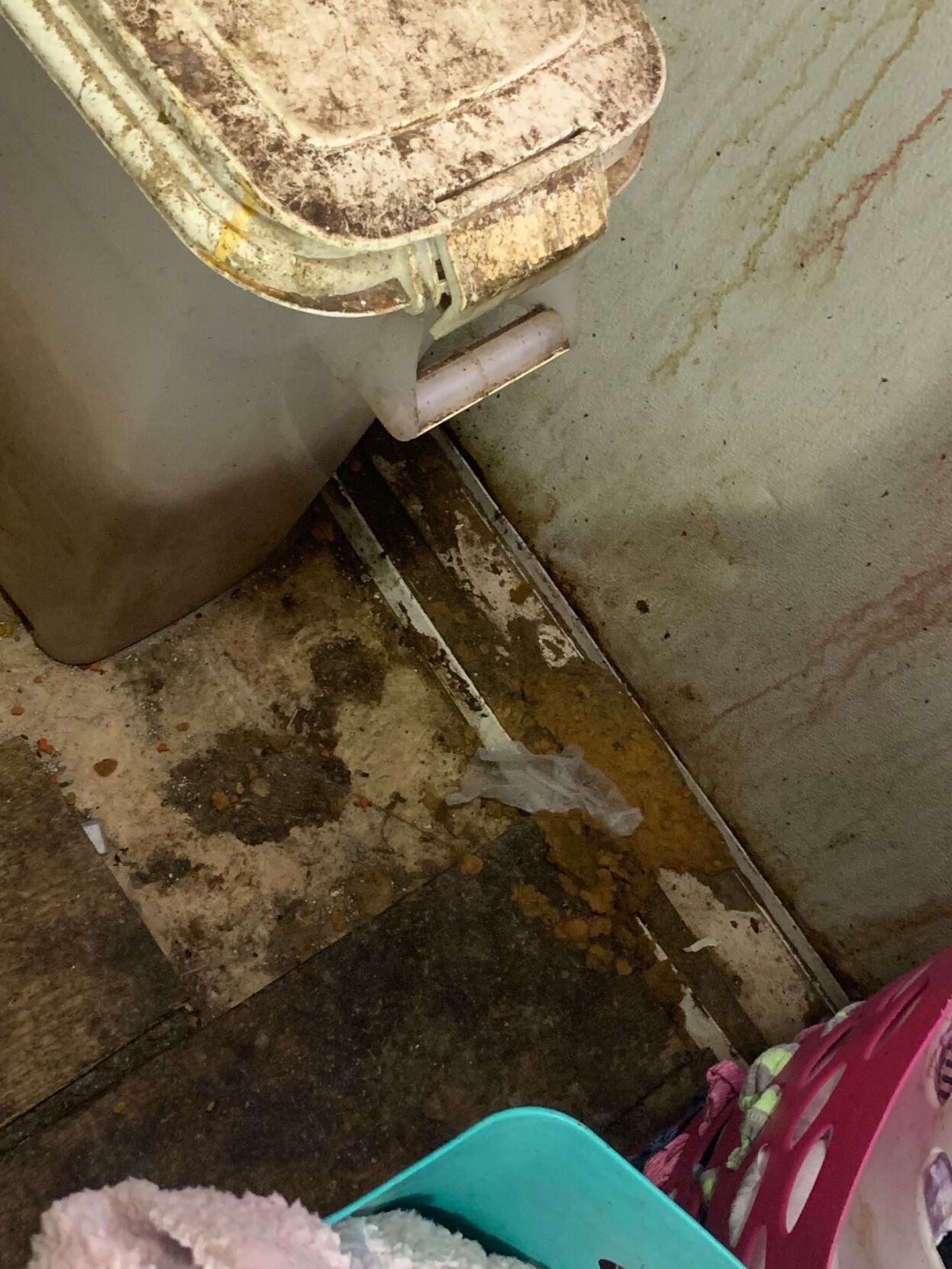 CITRUS COUNTY: TWO ARRESTED FOR AGGRAVATED ANIMAL CRUELTY AND CHILD ...
