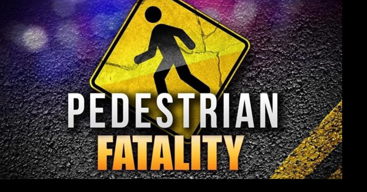 PASCO COUNTY: Pedestrian Struck and Killed in Zephyrhills Crash | News ...