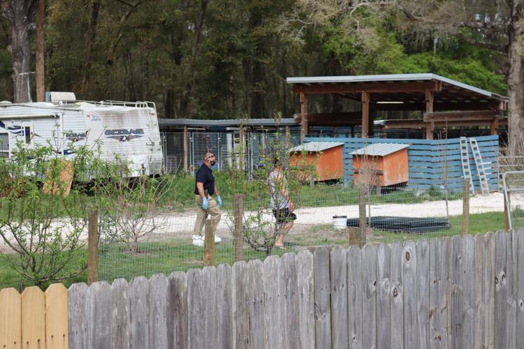 Hernando Kennel Operator Charged with Aggravated Animal Cruelty Hernando County News