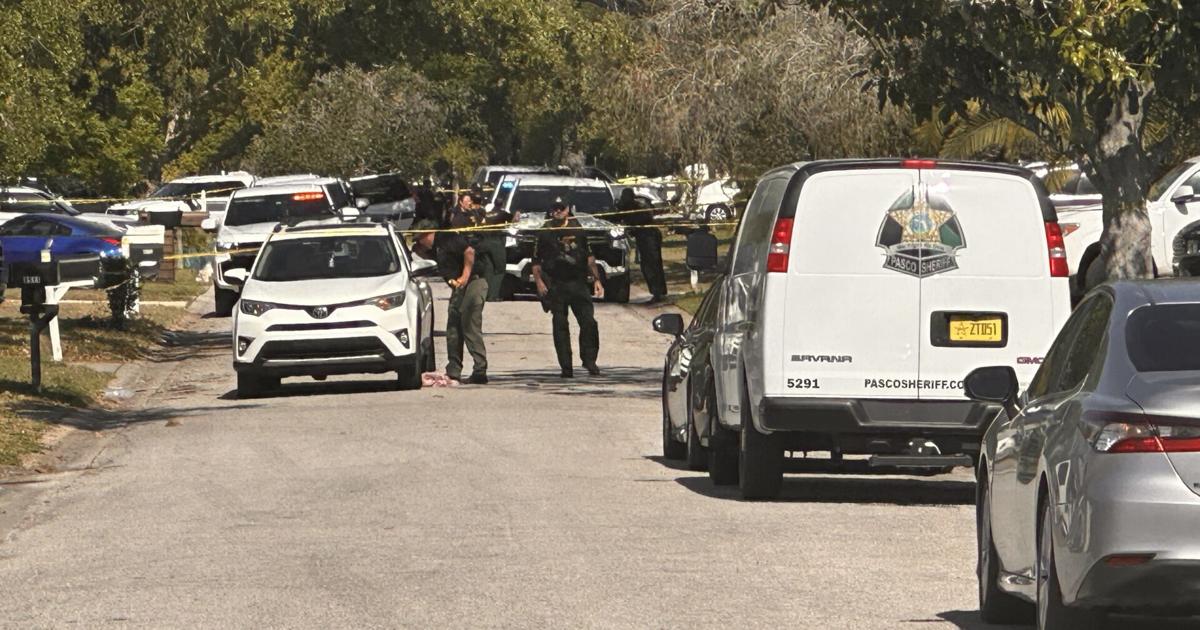 Shooting News Image