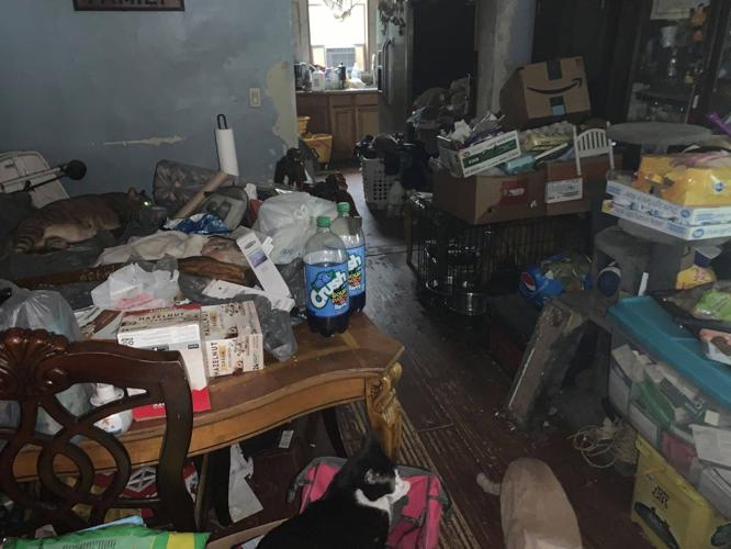 CITRUS COUNTY: TWO ARRESTED FOR AGGRAVATED ANIMAL CRUELTY AND CHILD ...