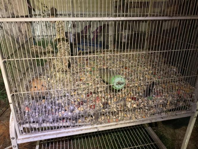 CITRUS COUNTY: TWO ARRESTED FOR AGGRAVATED ANIMAL CRUELTY AND CHILD ...
