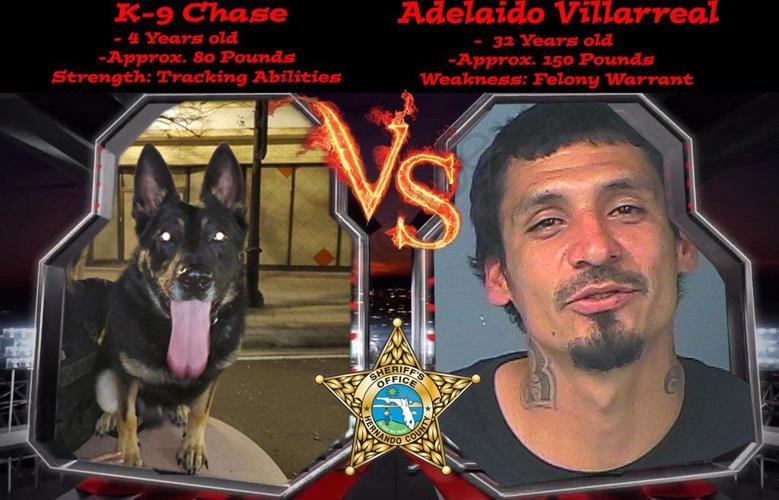 HERNANDO COUNTY Man with Pasco warrants arrested for fleeing traffic