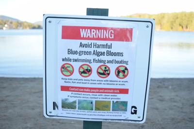Doweling Lake-North Affected by Algae Bloom, Health Department Warns Caution