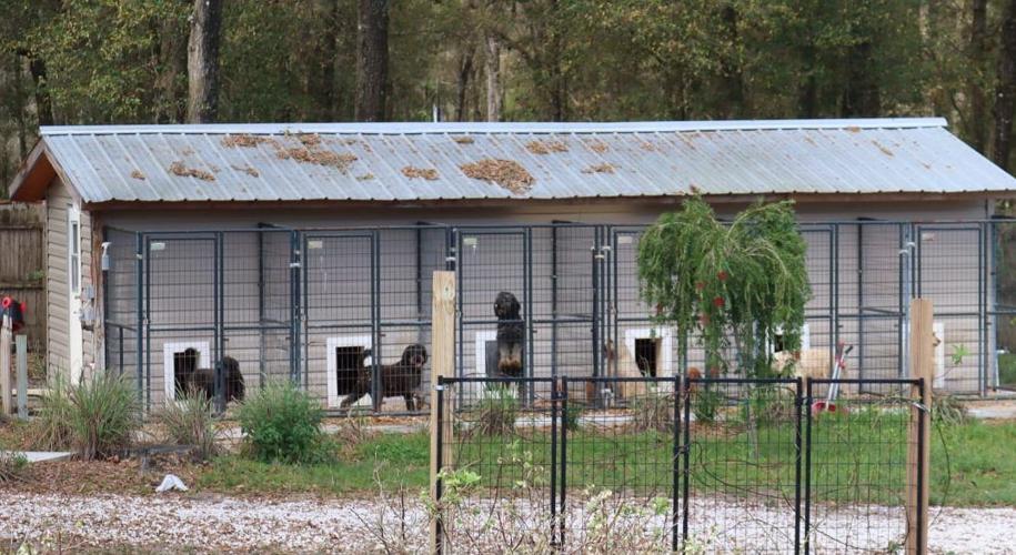 Hernando Kennel Operator Charged with Aggravated Animal Cruelty