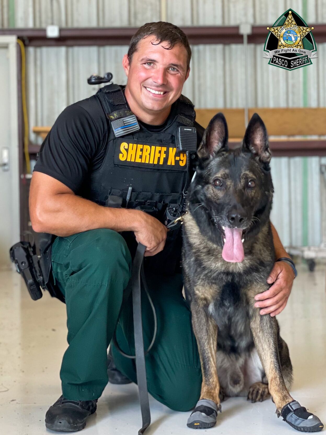 Pasco county 2024 sheriff k9