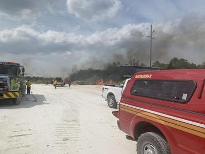 Firefighters battle several brush fires in Hernando County