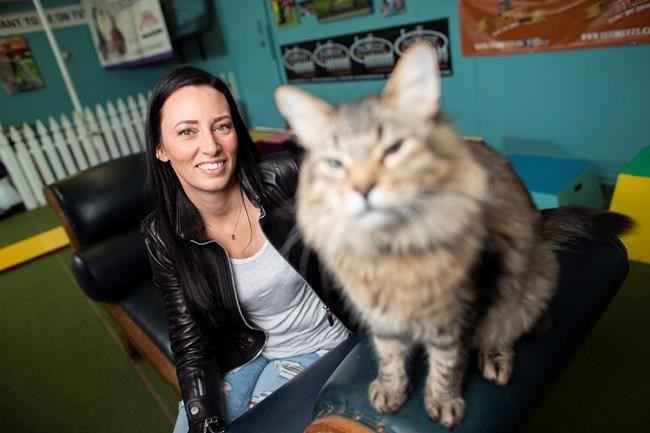 Ontario Trainer Says Feline Stars Shared Five Trailers On Set Of