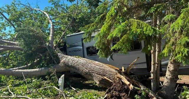 Storm cleanup continues as power returns across northeast Sask Nicole Goldsworthy, Local Journalism Initiative Reporter, SaskToday.ca SASKTODAY.ca Jul 12, 2026 57 mins ago