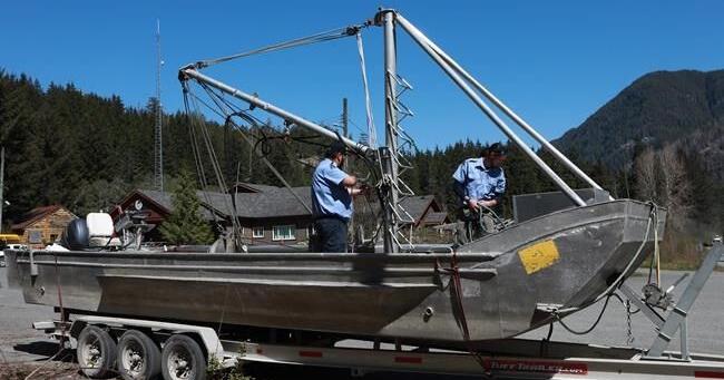 'It was joy': Trapped B.C. orca calf eats seal meat, putting rescue on hold - Vimarsana News