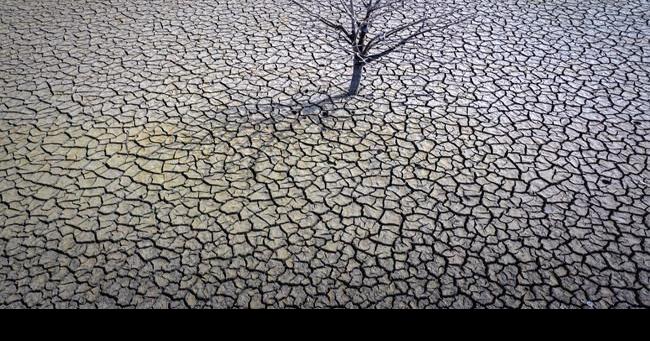 Los agricultores advierten que la sequía conducirá a la pérdida de cosechas en España |  negocio nacional