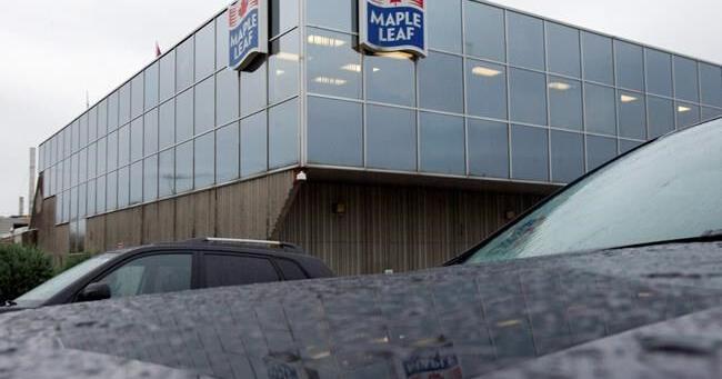‘Too logical to ignore’: Maple Leaf to spin off pork business into new public company | National Business ‘Too logical to ignore’: Maple Leaf to spin off pork business into new public company | National Business