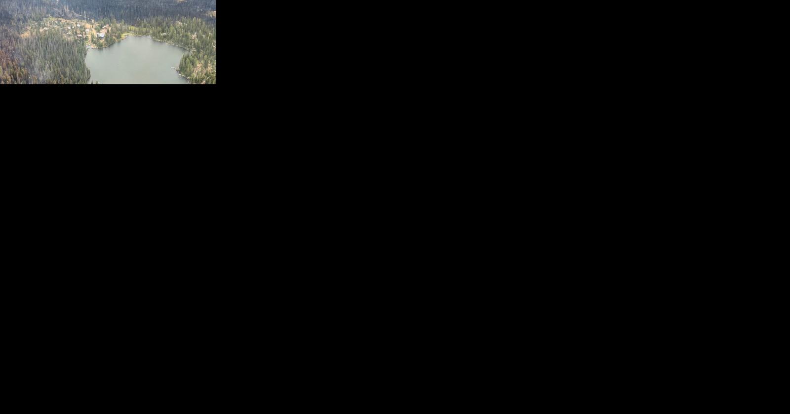 Historic lodge OK, surrounding forest not - Vimarsana News