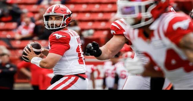 Stampeders pounce on Lions for 30-6 pre-season win