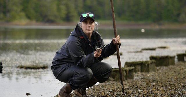 'The continuous battle' to defeat one of the worst invasive species follows a devastating diesel spill