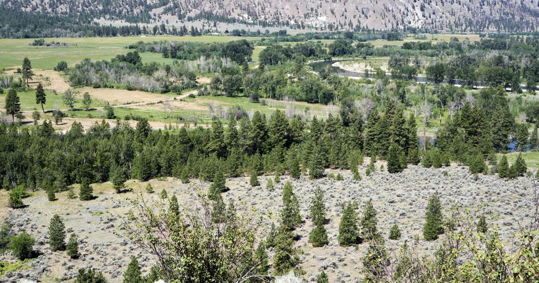 Protecting rare grasslands and vital corridor along Similkameen River - Vimarsana News