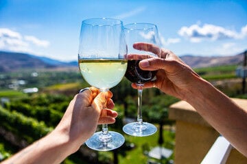 Free app maps Okanagan wine country for visitors and locals