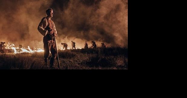 Farmers, vampires, cab drivers: Five hidden gems from this year's TIFF - Vimarsana News