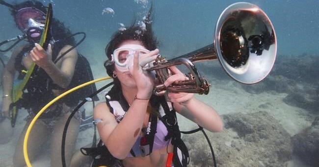 Underwater music show in the Florida Keys promotes awareness of coral reef protection - Vimarsana News