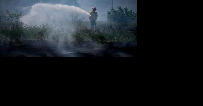 What you need to know about wildfires in Canada - Vimarsana News