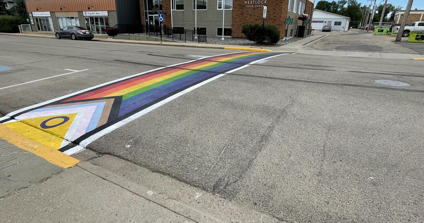 Spectrum of responses to rainbow referendum - Vimarsana News