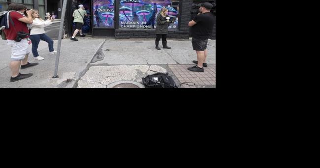 Montreal police raid illegal magic mushroom store on opening day, arrest four people - Vimarsana News