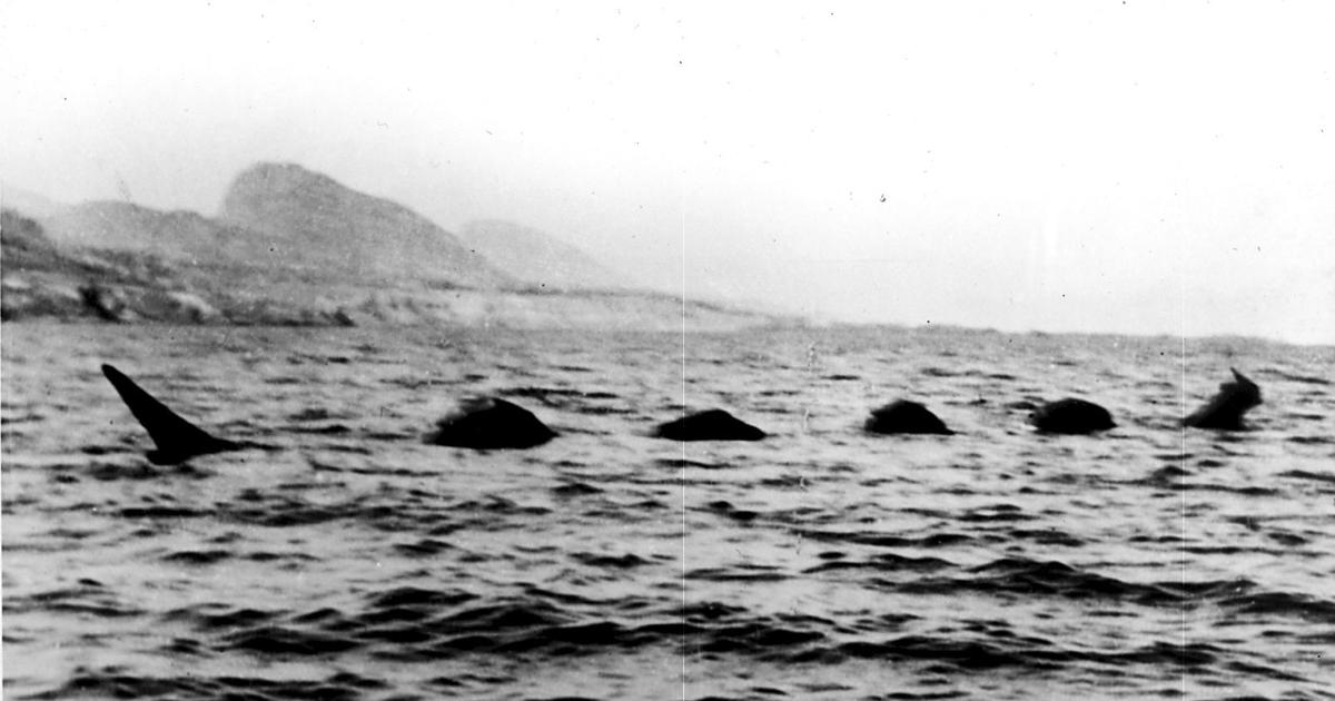 Dive into the Depths of Myth and Mystery Ogopogo still swims in our memories | News | pentictonherald.ca