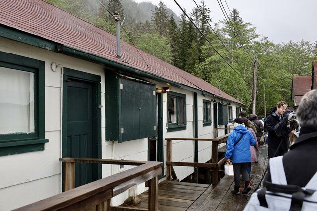 (レア希少)マミヤOP Peters Road Spruce PRB-34 レア希少)マミヤOP Peters Road Spruce PRB-34 Historic Japanese