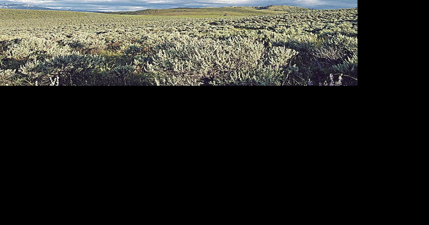 National park concept still alive and well