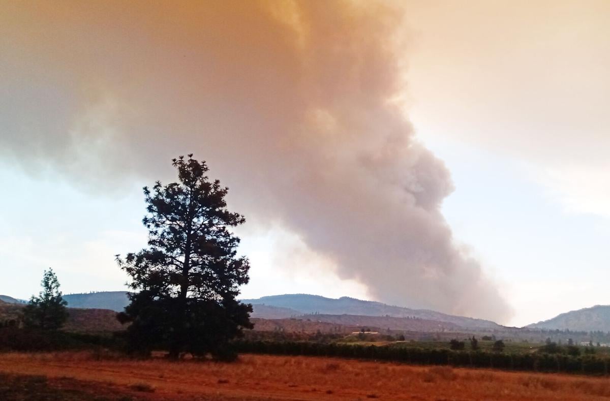 Update Over 0 Homes Now On Alert In Osoyoos News Pentictonherald Ca Update Over 0 Homes Now On Alert In Osoyoos News Pentictonherald Ca