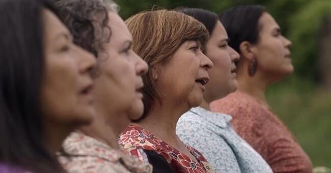 Films about Indigenous influences, declawing cats among Hot Docs world premieres - Vimarsana News