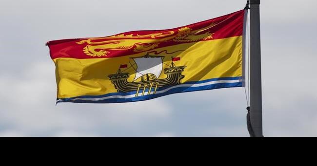 New Brunswick virtual health-care service violating Official Languages Act: report | Atlantic