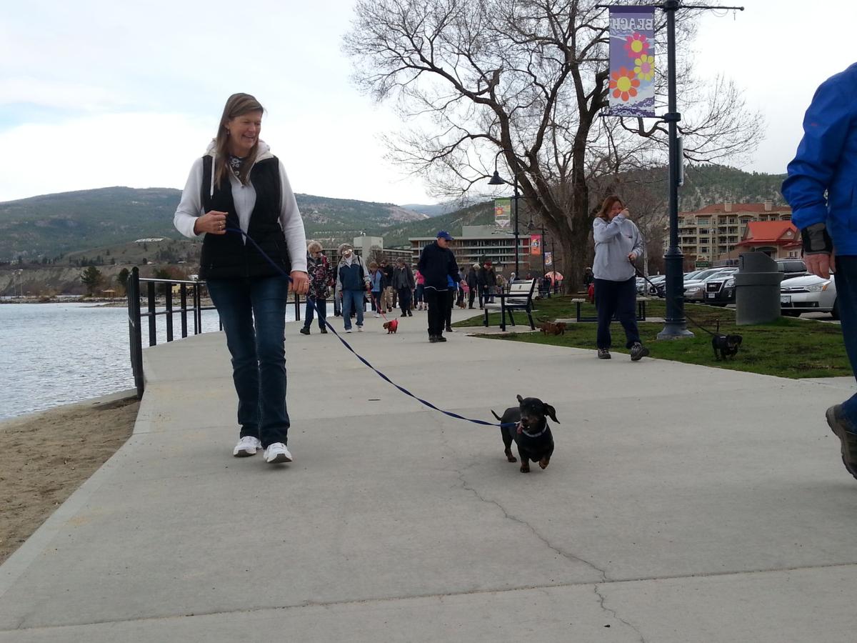 Penticton Dog Walk