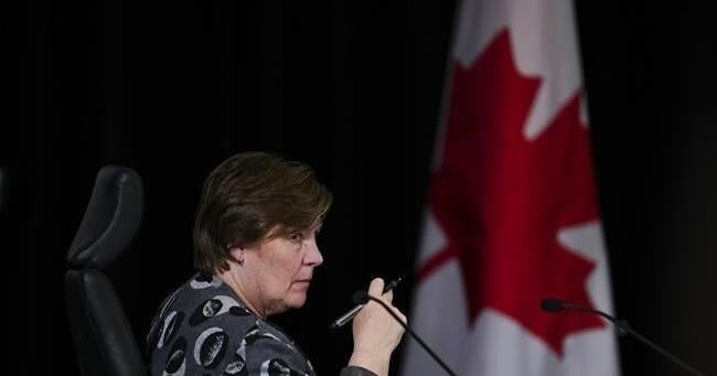 Feds advance ideas to fight foreign interference, prompting support and concern - Vimarsana News