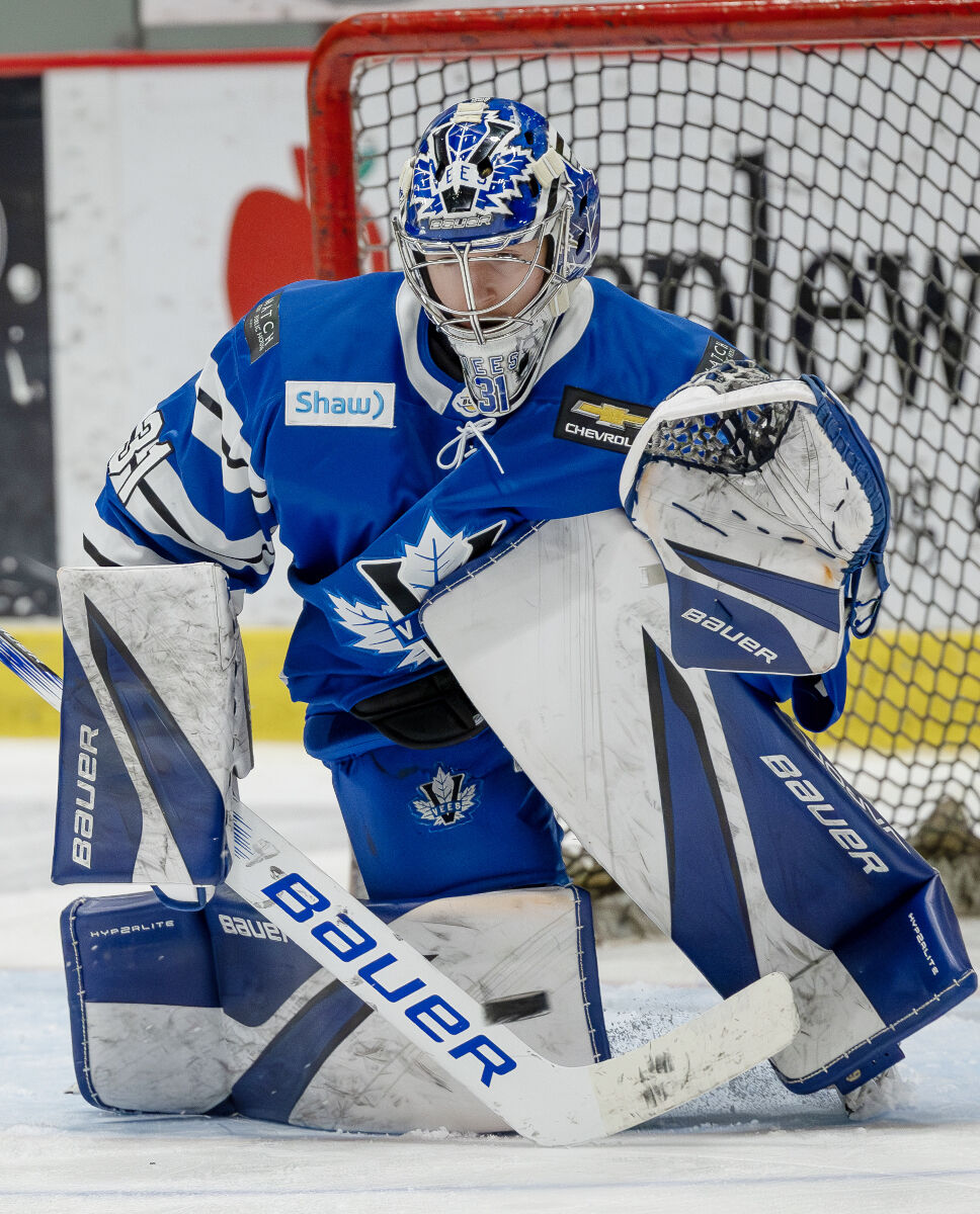 BCHL Salutes Vees Goalie Ness With First Star Honour | Local Sports ...