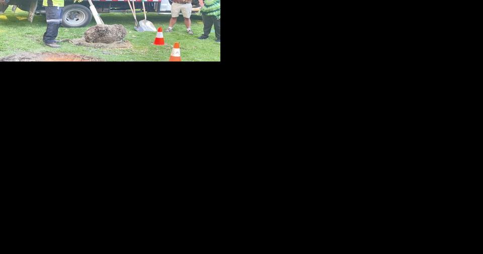 Tree planting ceremony - Vimarsana News