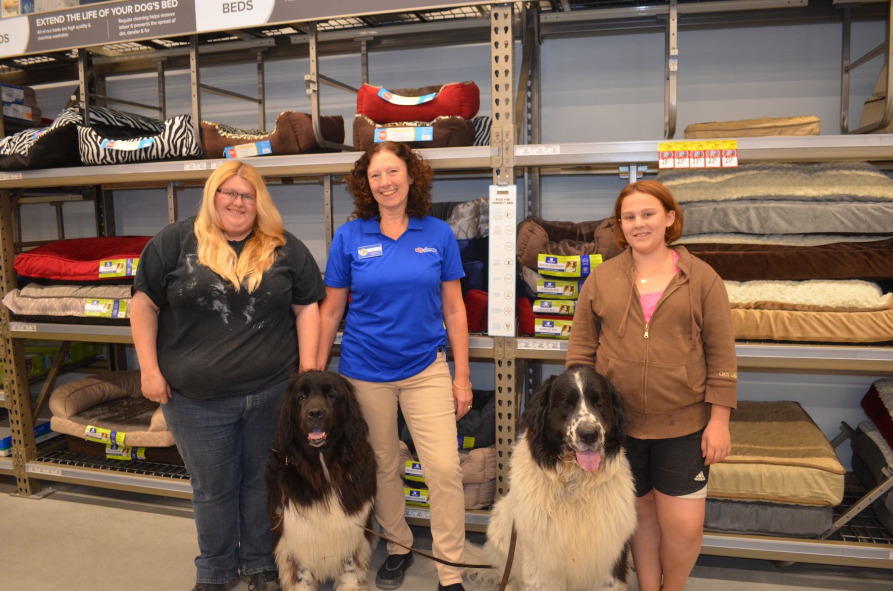 Puppy best sale orientation petsmart