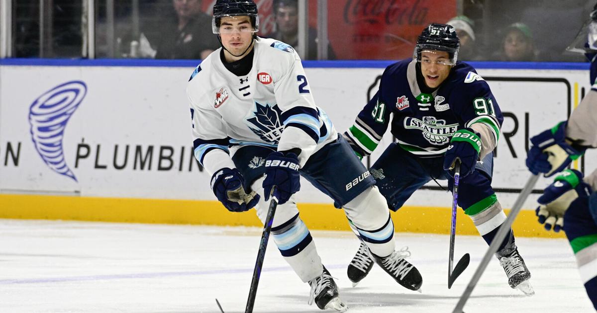 article_86f76d57-744f-4c8b-b9d3-5350d3f83eb2.html