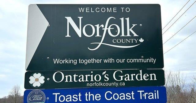 Crowded ballot: Seven candidates running for mayor in Norfolk County