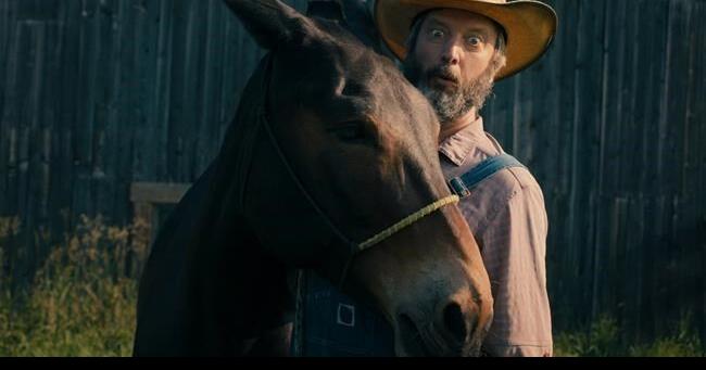After years of secret pain from cancer, Tom Green finds peace in rural Canadian life